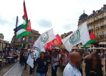 France (AIL): Rally Against the Yadan Law