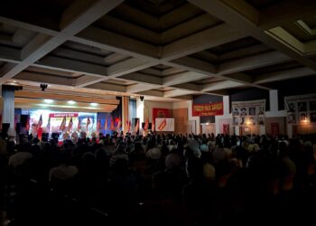 Austria (AIL): Communist Leader İbrahim Kaypakkaya Honoured in Linz