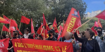 France (AIL): Photos and Videos from Recent Demonstrations