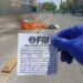 Chile (AIL):  Seven Years After the October Uprising 